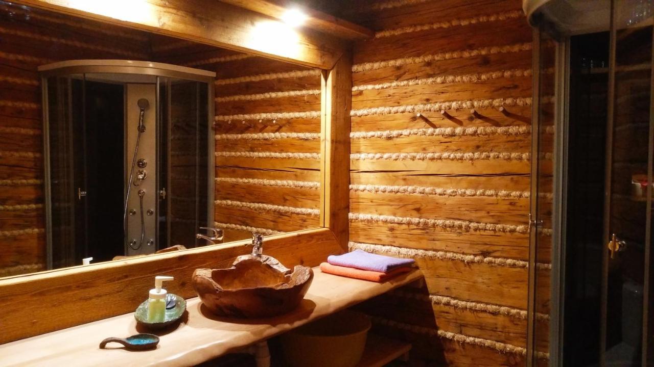 Odnowica U Pawla Apartment *